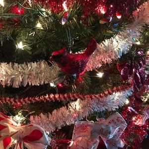 Meet your Posher, Connie